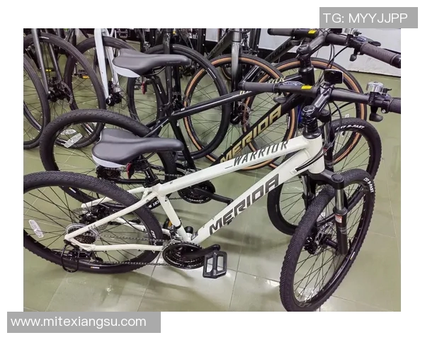 探索美利达勇士300的骑行魅力与性能优势，让你畅享无与伦比的骑行体验