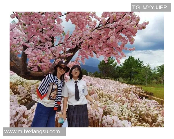 探索布莱克尼的魅力与历史:一段关于文化与自然的奇妙旅程 探索布莱克尼的魅力与历史:一段关于文化与自然的奇妙旅程