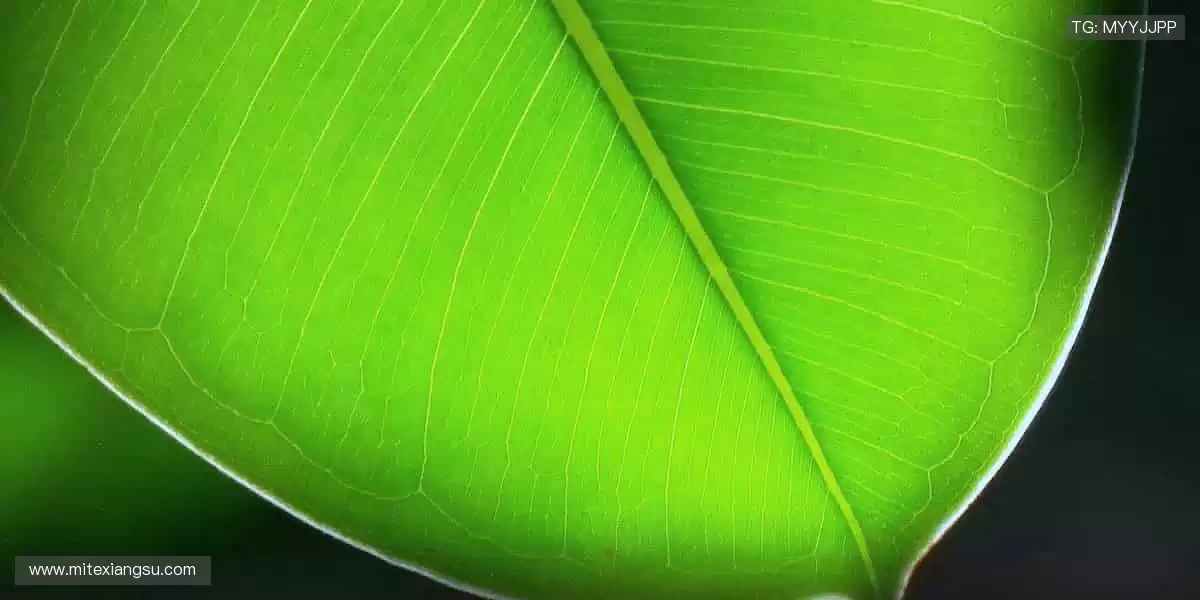 每一次挥汗，都是对胜利的承诺！💦🏅